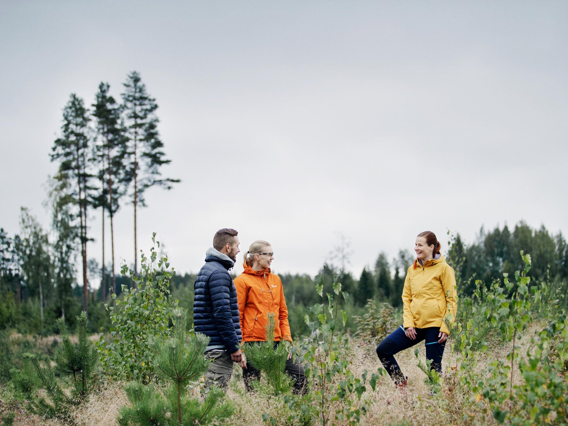 Skogsexpert diskuterar med skogsägare vid en avverkningsplats.