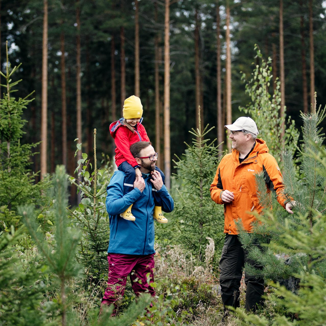 Ylivoimaiset palvelut metsänomistajille