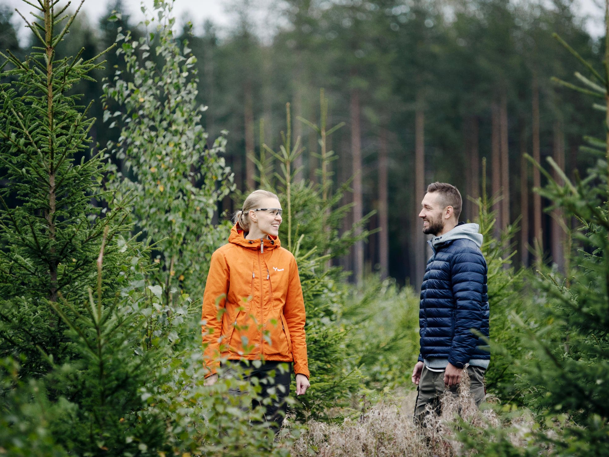 Skogsägare och skogsexpert står i plantskog och diskuterar.