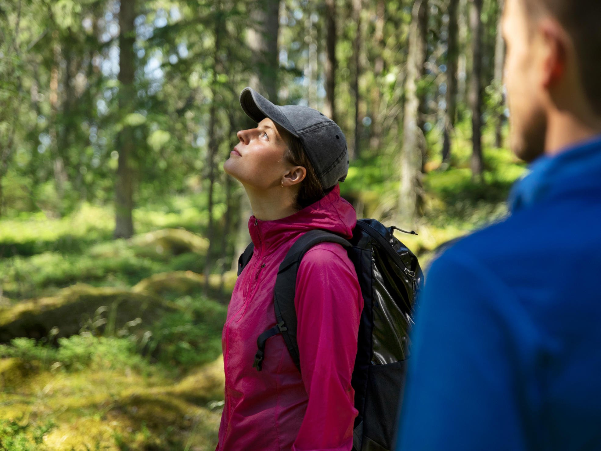 Kvinna står i granskog och tittar mot trädens toppar.