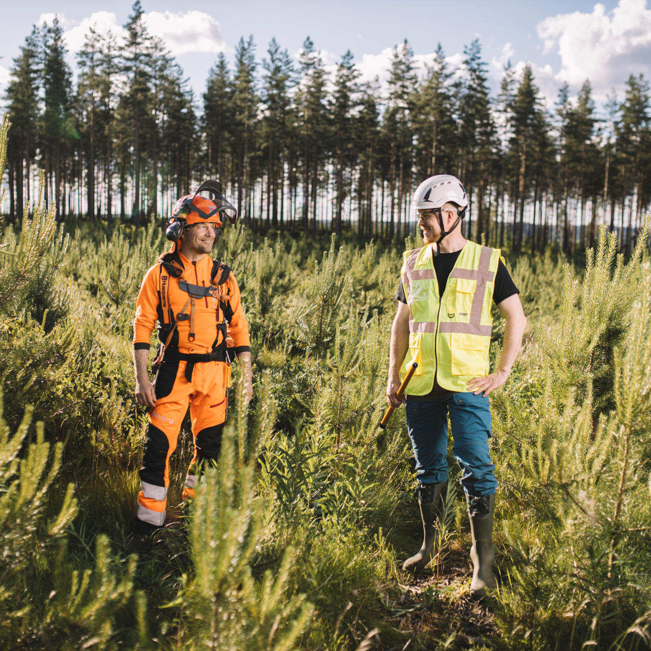 Puukaupan ja metsänhoitotöiden raportointi ja laadunvarmistus