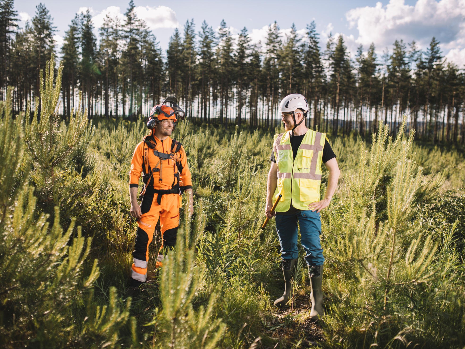 A forest service provider and forest specialist standing among seedlings.