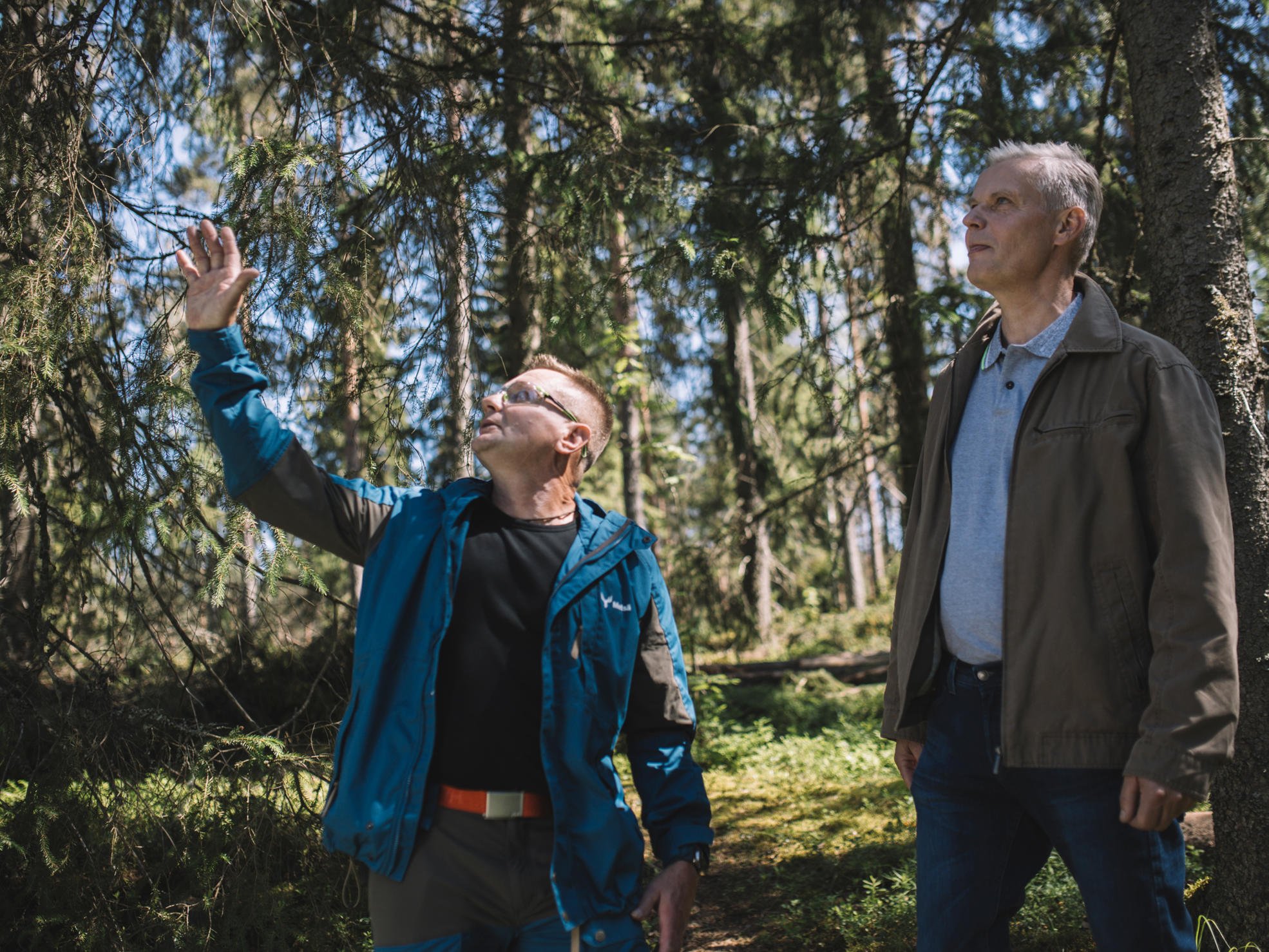 Forest owner and forest specialist survey the forest and plan the required forestry measures.