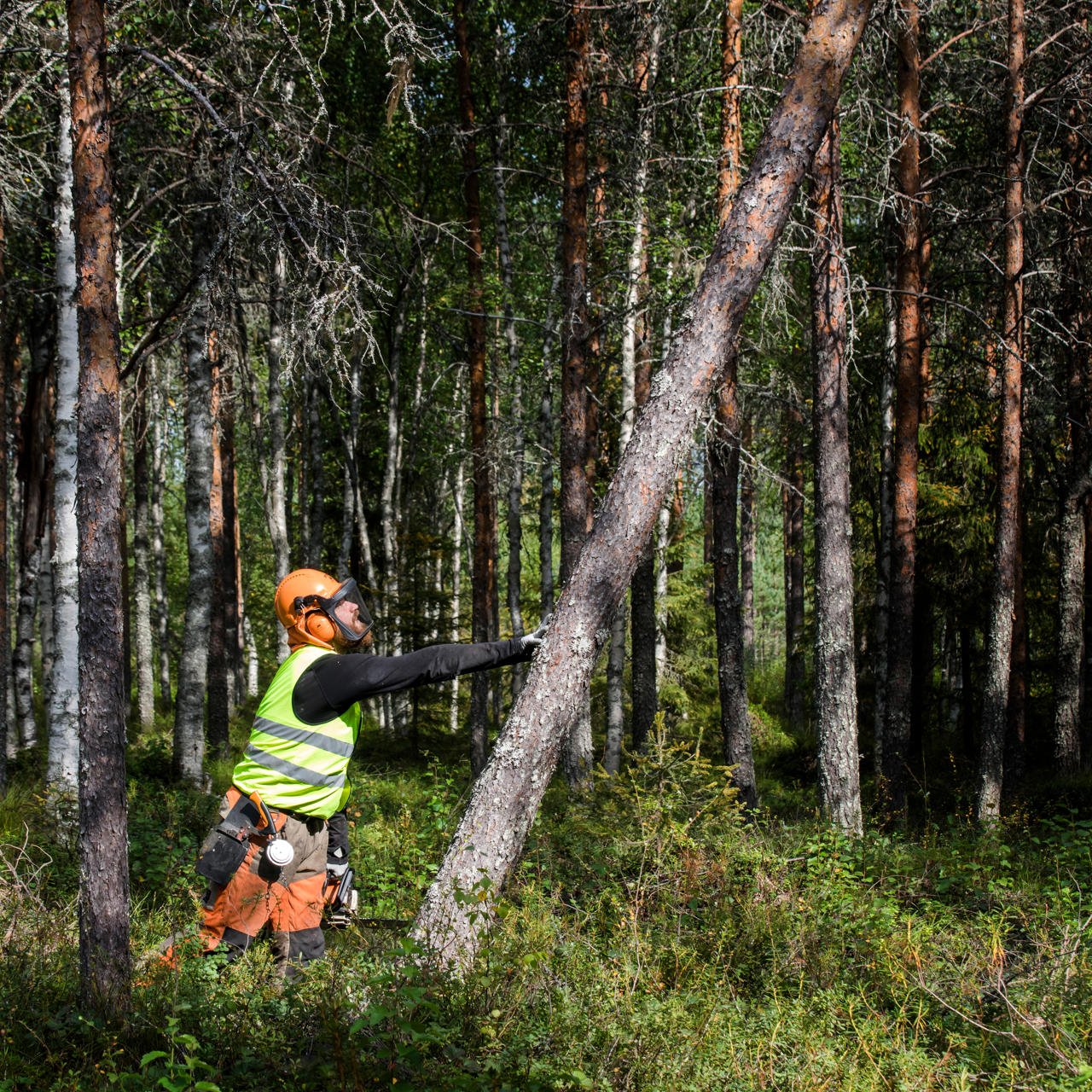 Ammattimaisen hankintahakkaajan toimintamalli