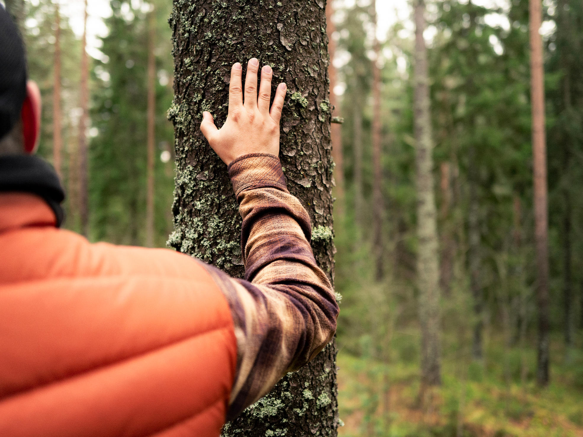 A man stands in the woods with his hand on the trunk of a tree.