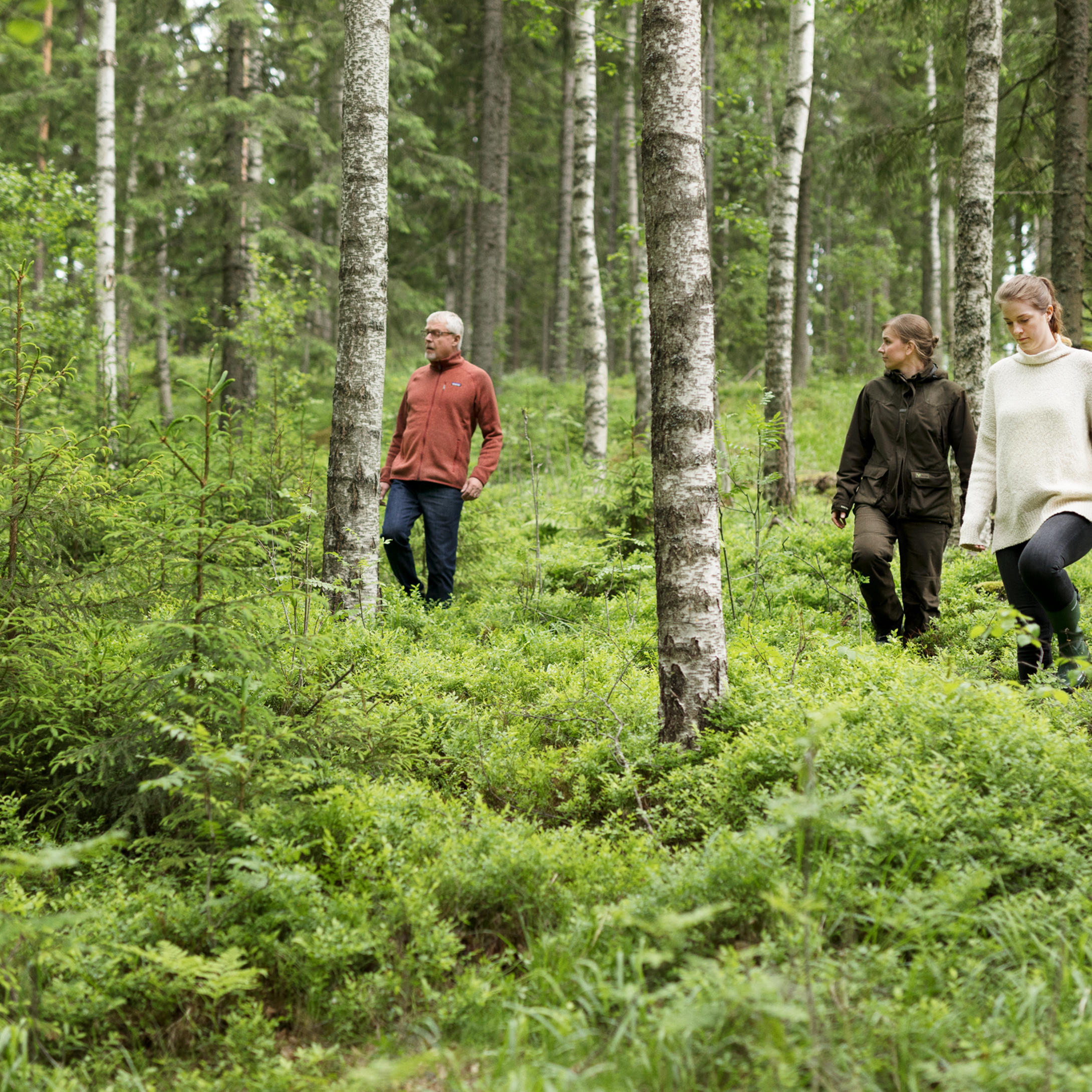 Leave at least ten per cent of broadleaved trees on the stand