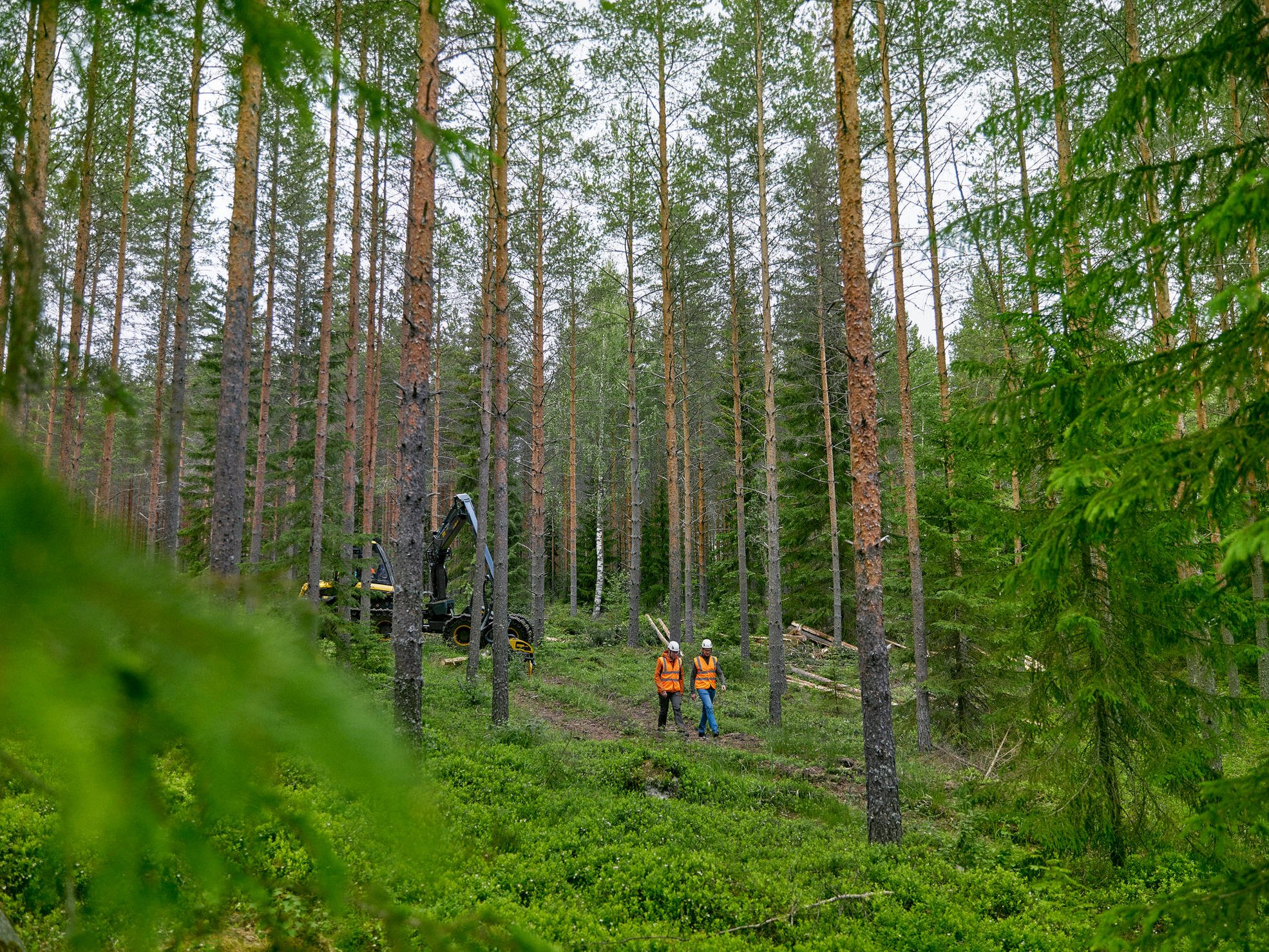 A forest specialist and forest owners in the forest.