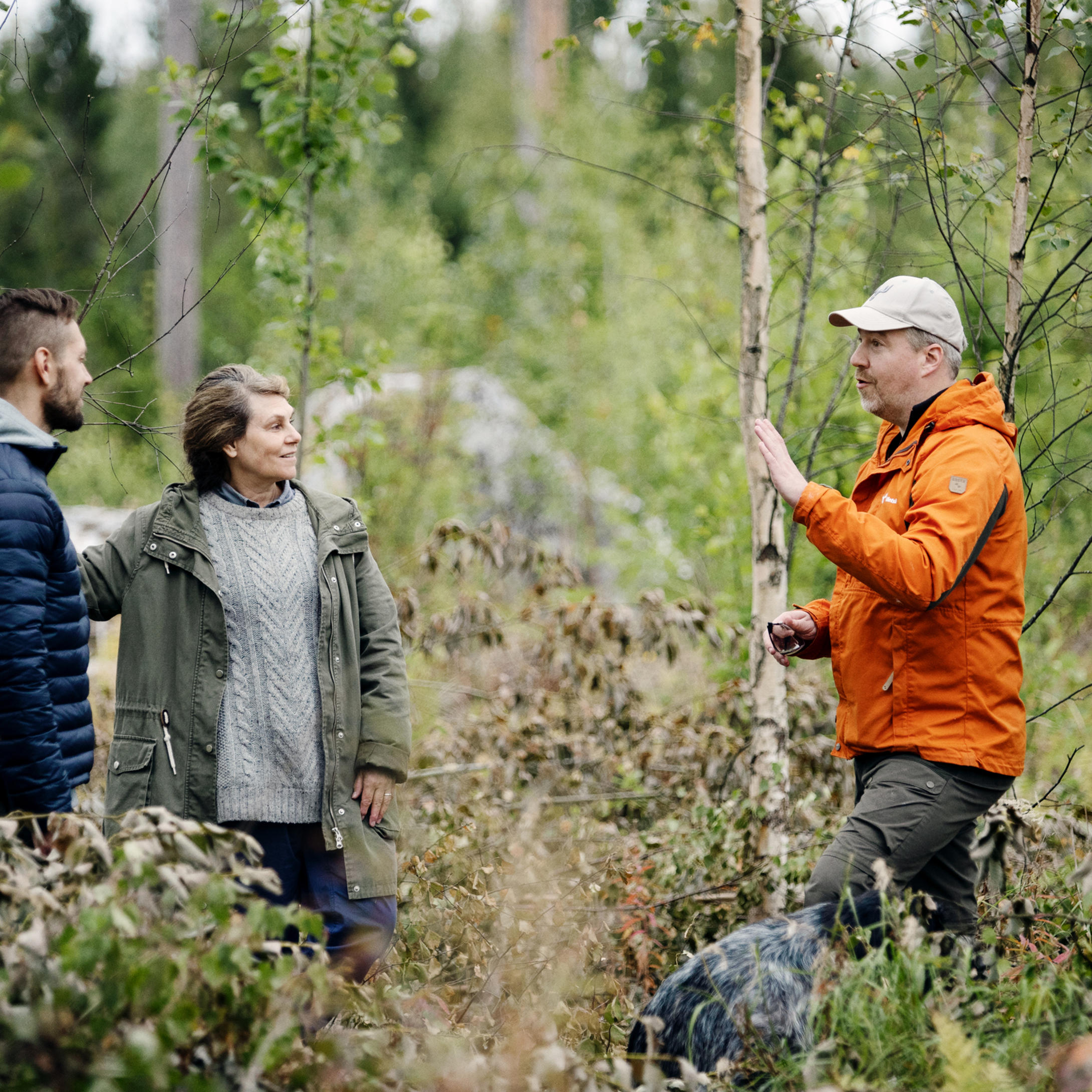 Kostnadsfri årsplan