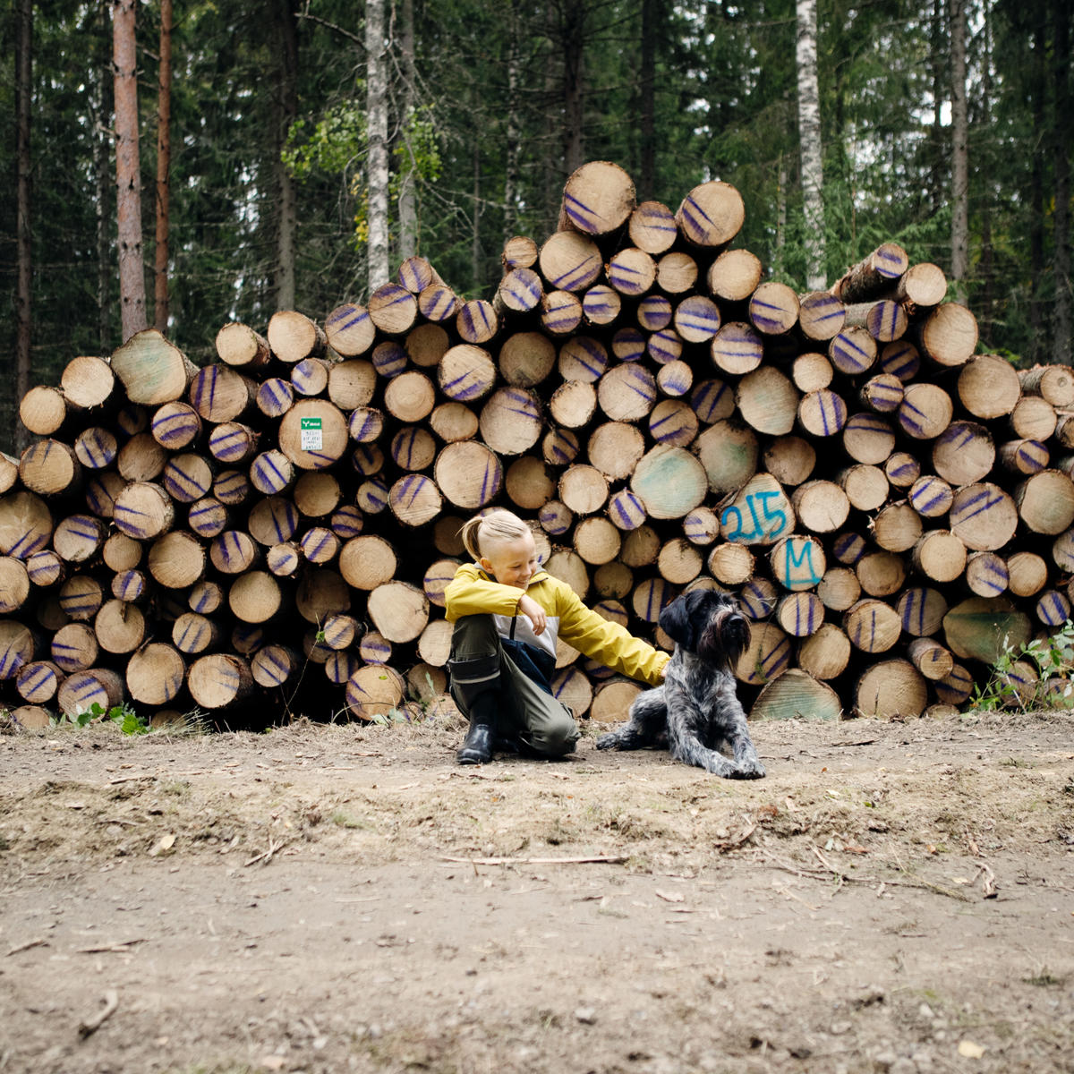 Metsä1 additional shares and profit distribution based on wood trade