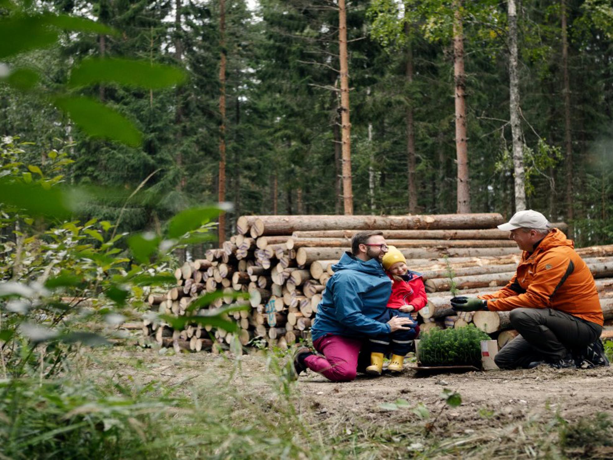 Isä, lapsi ja metsäasiantuntija puupinon edessä.