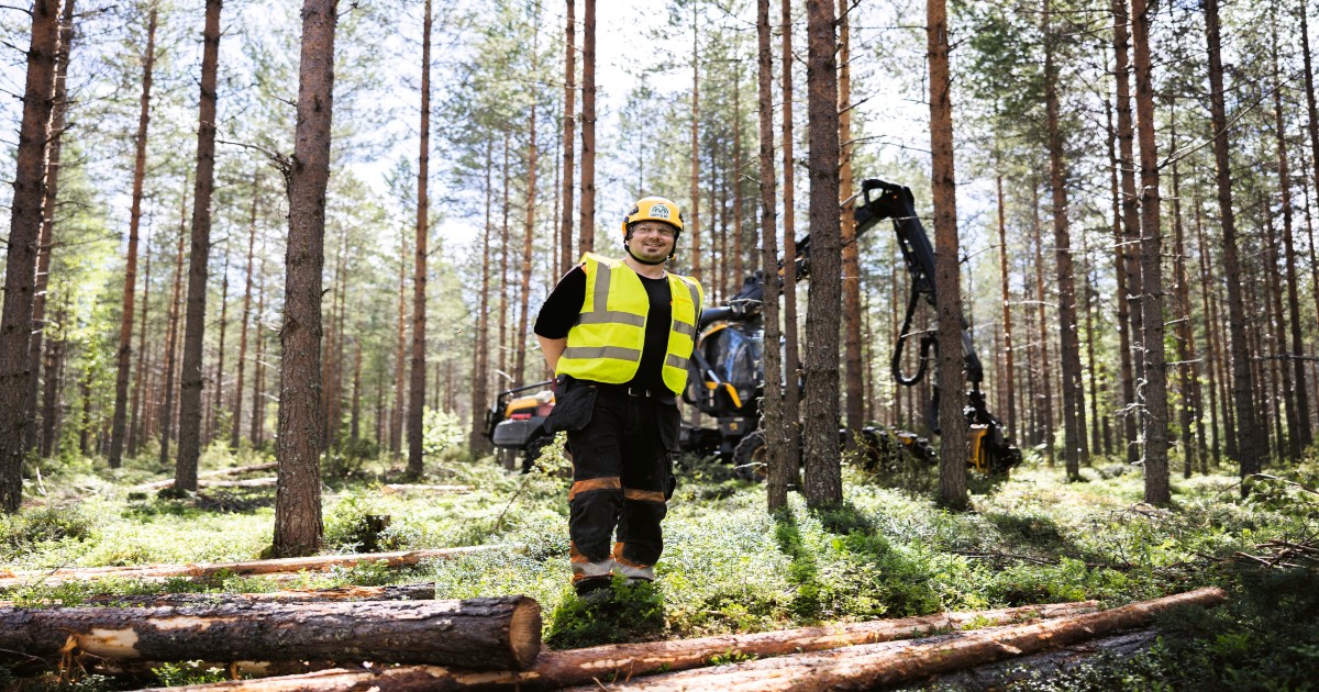 Kotimaiset Metsäkuuset