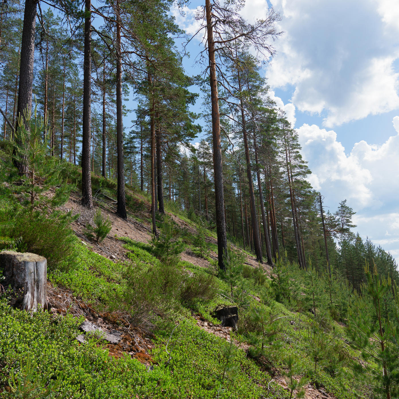 How to identify a sunlit slope?
