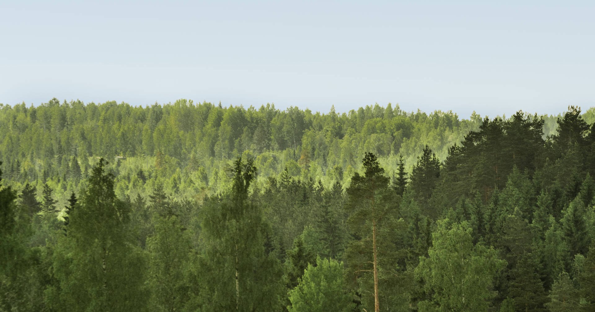 Metsä Group has revised its strategic sustainability targets