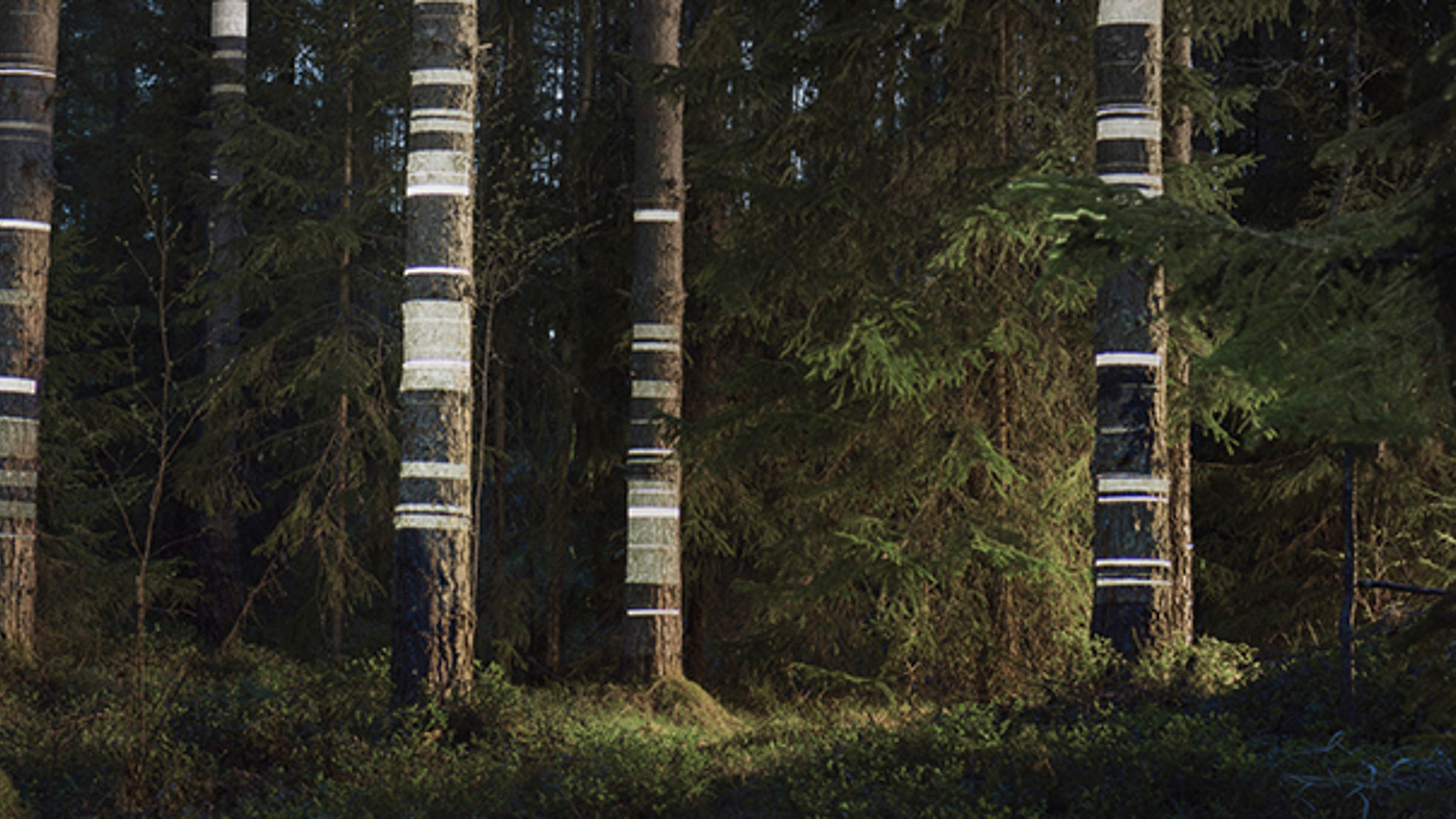 The era of intelligent forests – digitalisation of Finnish forests is ...