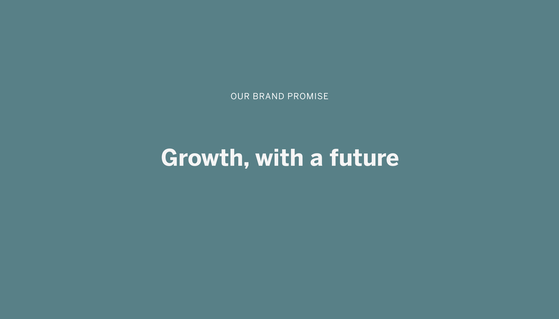 Brand promise