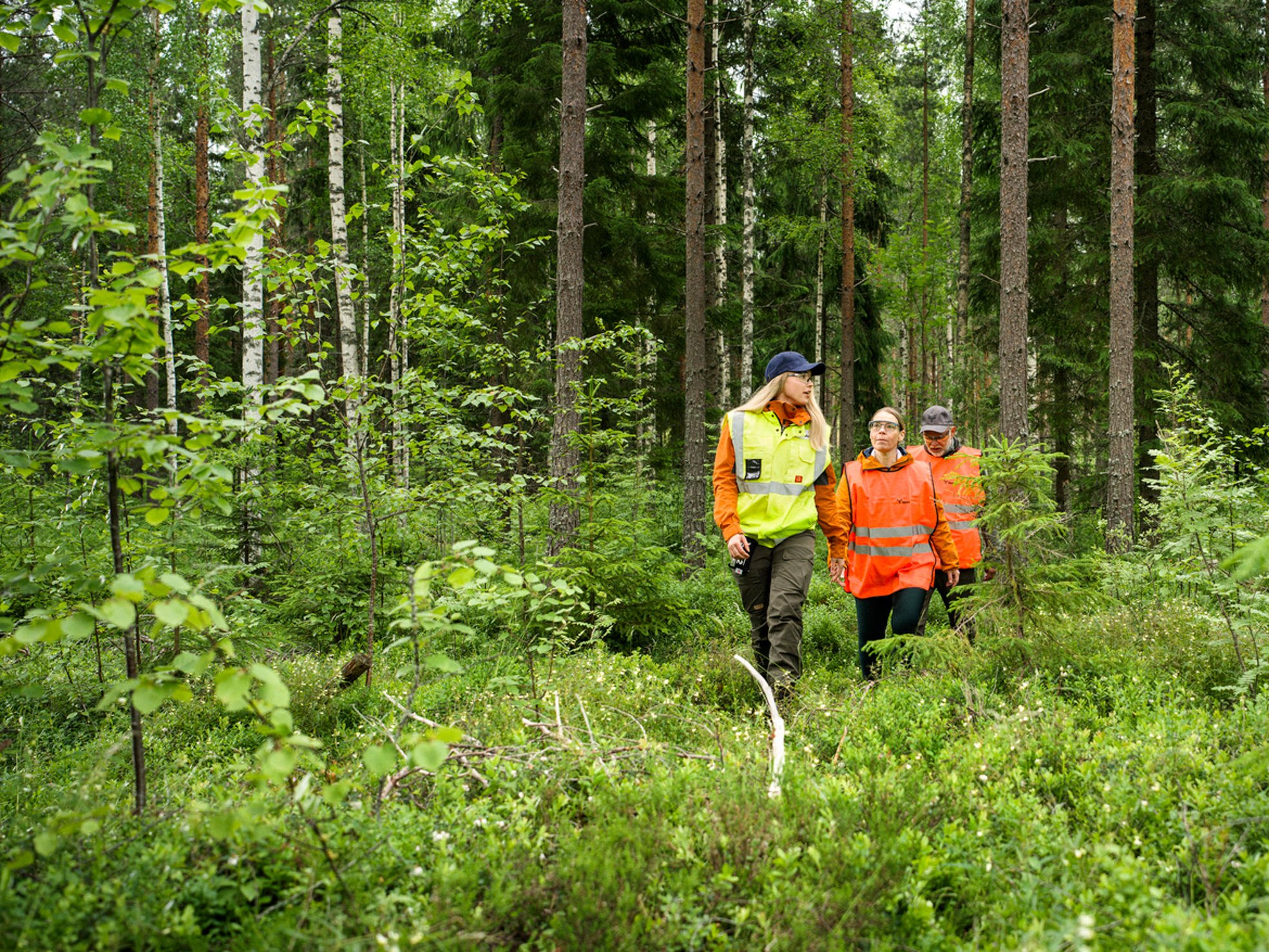 Metsä Group's values guide us in everything we do