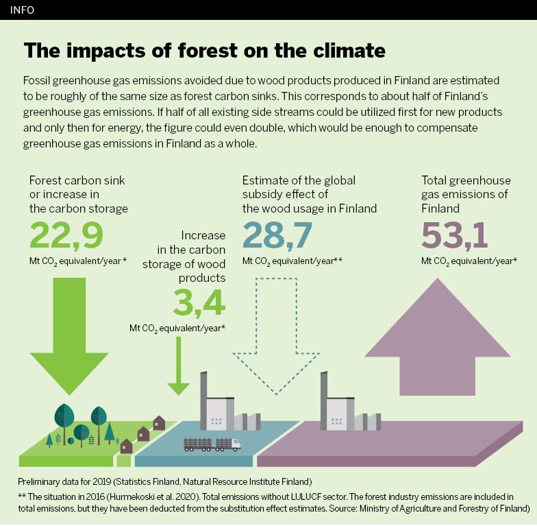 Impacts of forest on the climate