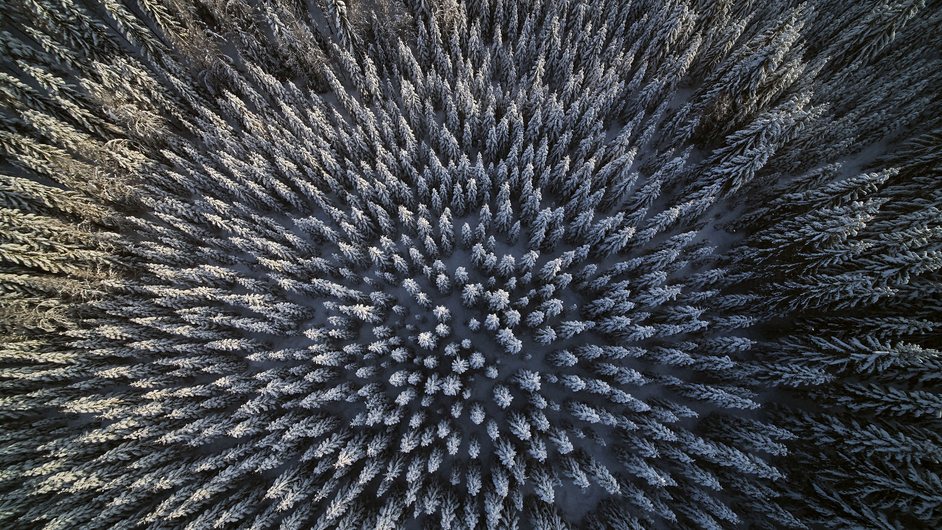 The substitution effect of wood products could compensate for Finland’s greenhouse gas emissions