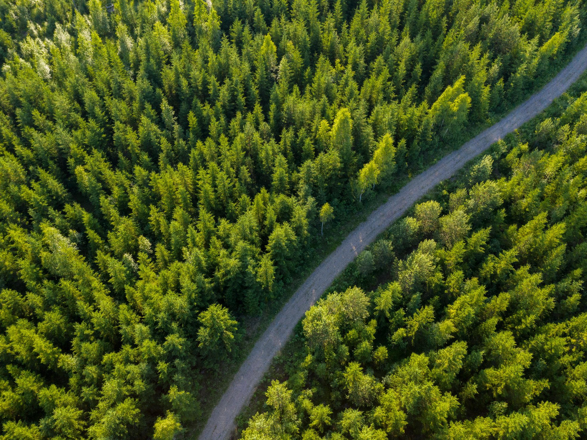 Forest management practices based on research