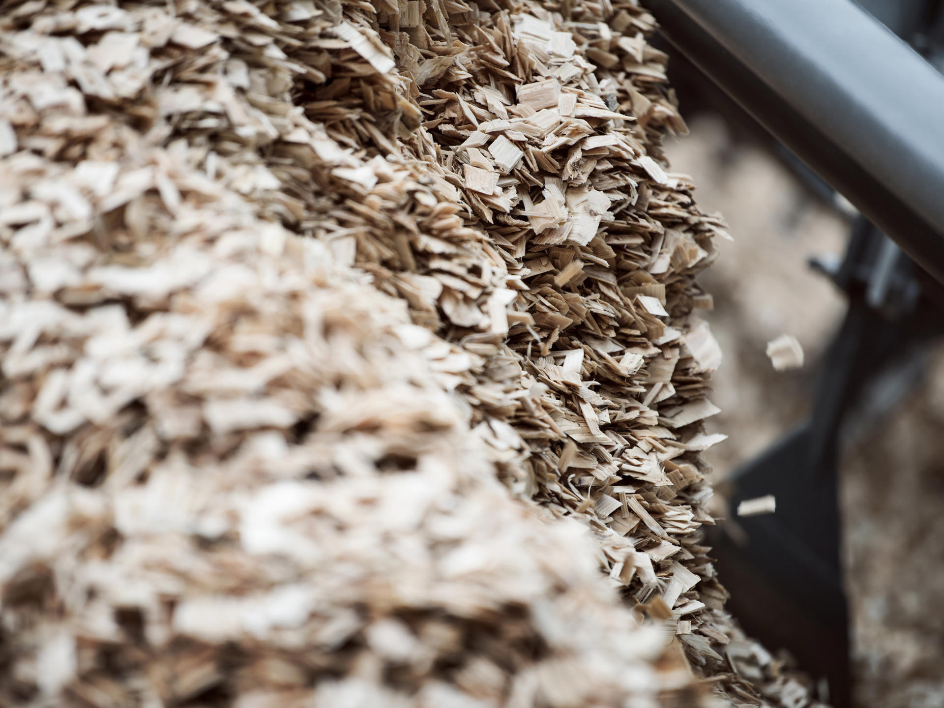 Wood chips