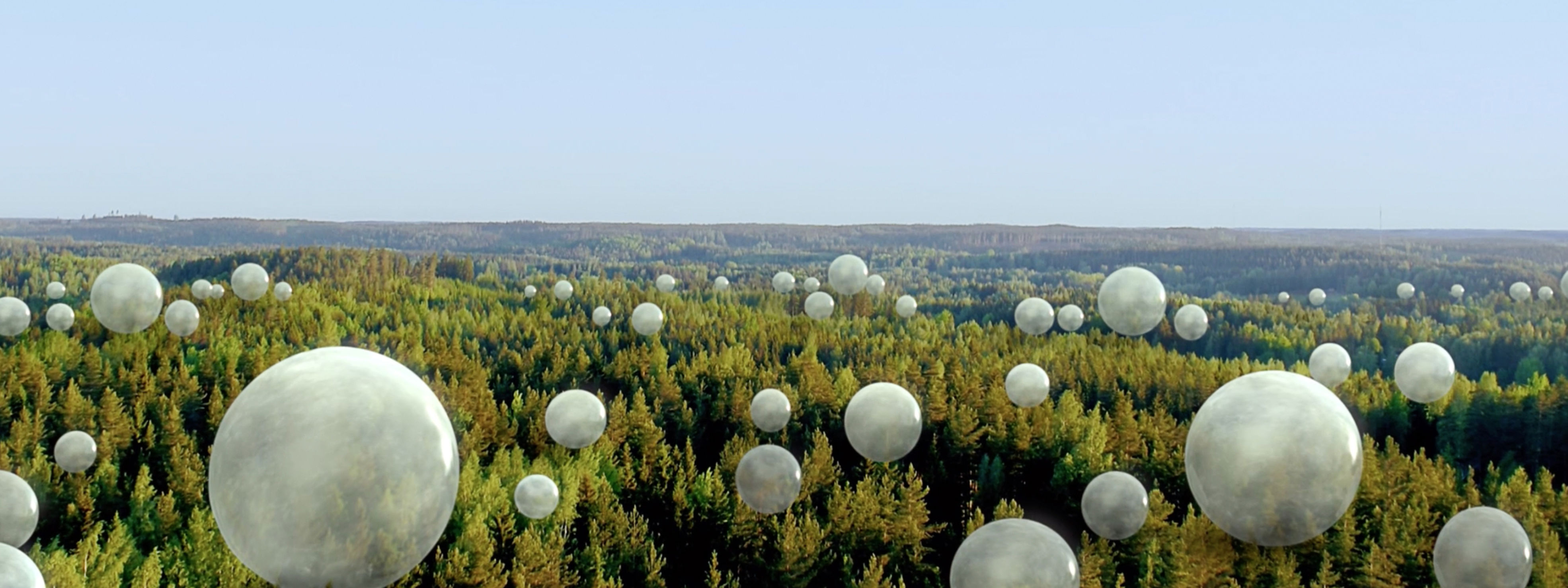 The sustainable use of forests pays off