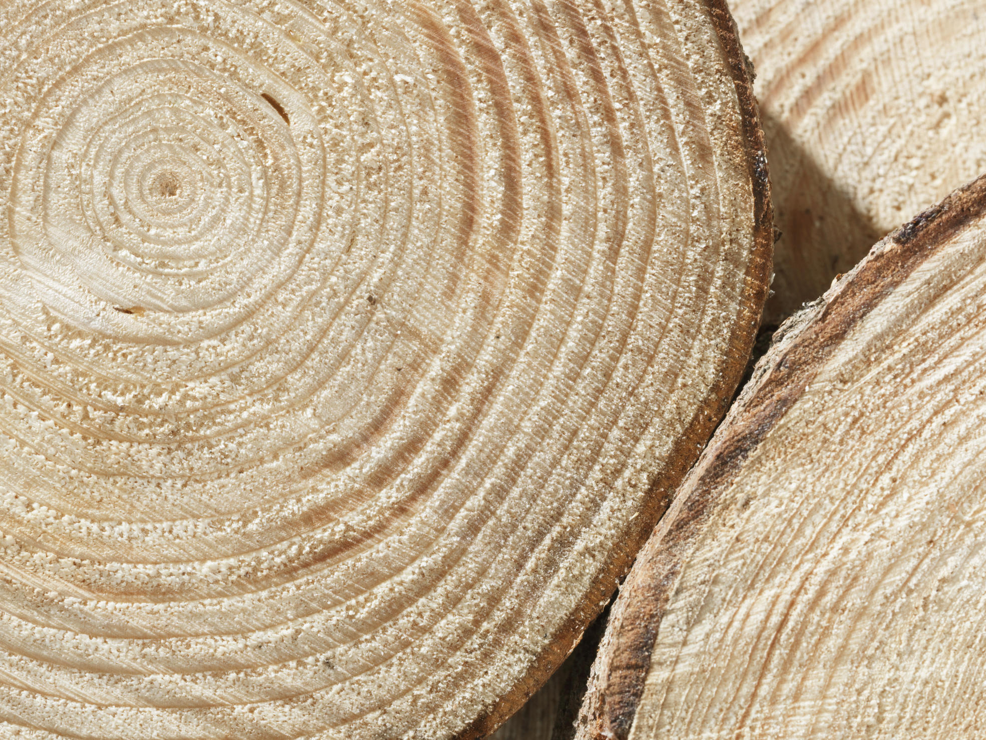 Harvesting is handled by our contract entrepreneurs.