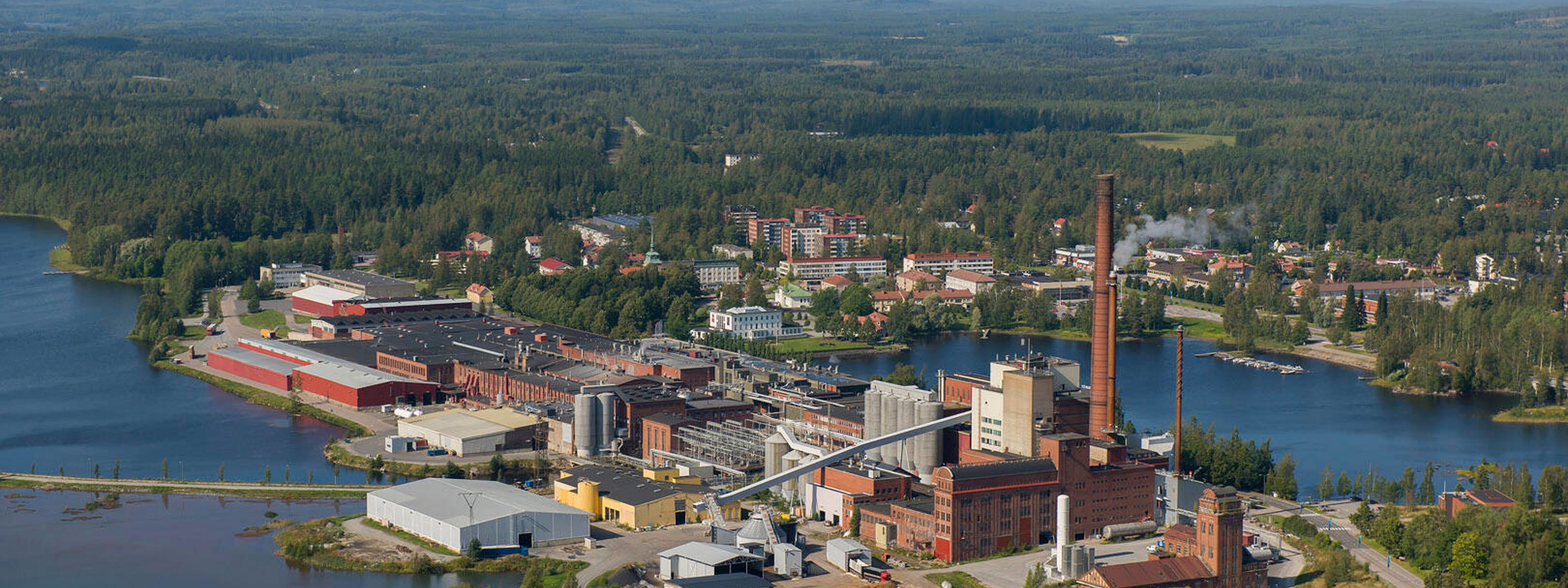 tissue paper rolls on conveyor belt
