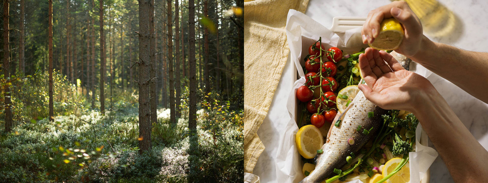 forest and greaseproof paper