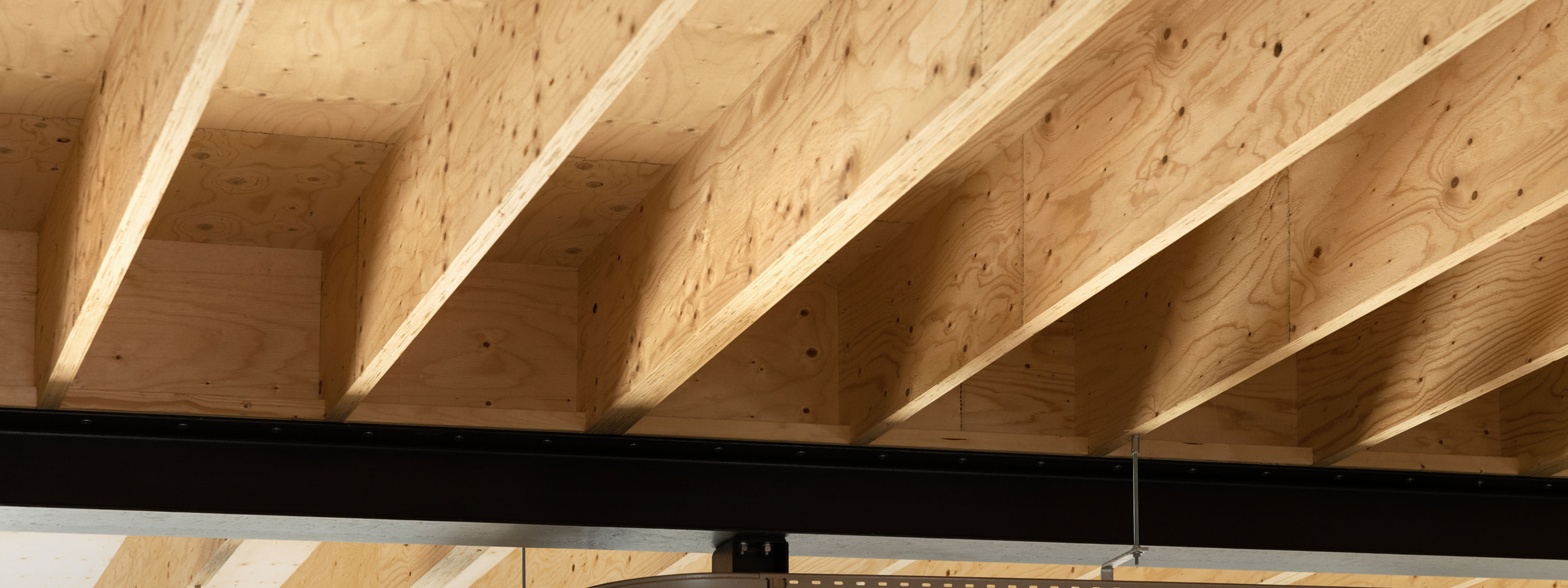 Wood serves as carbon storage