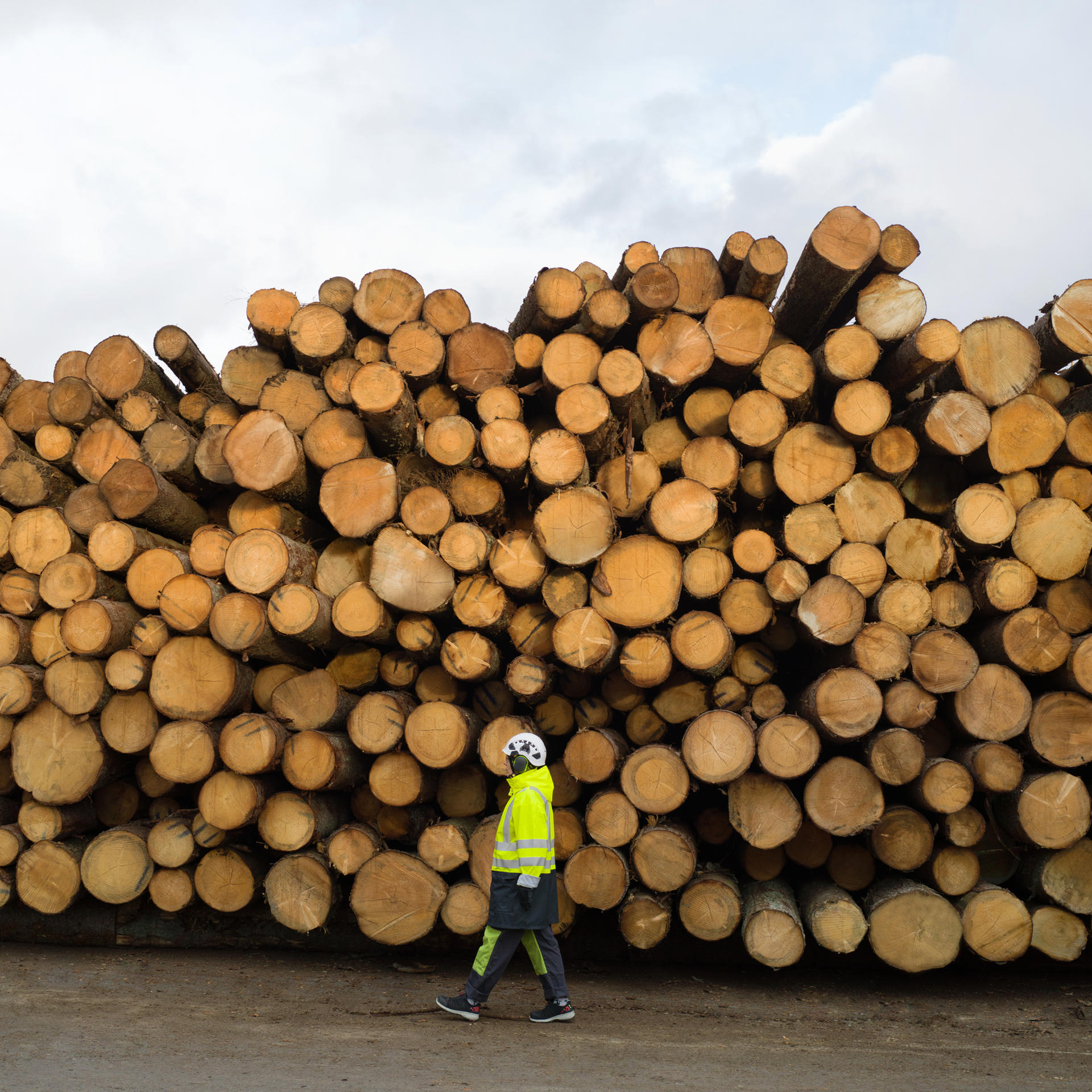 Future is our legacy