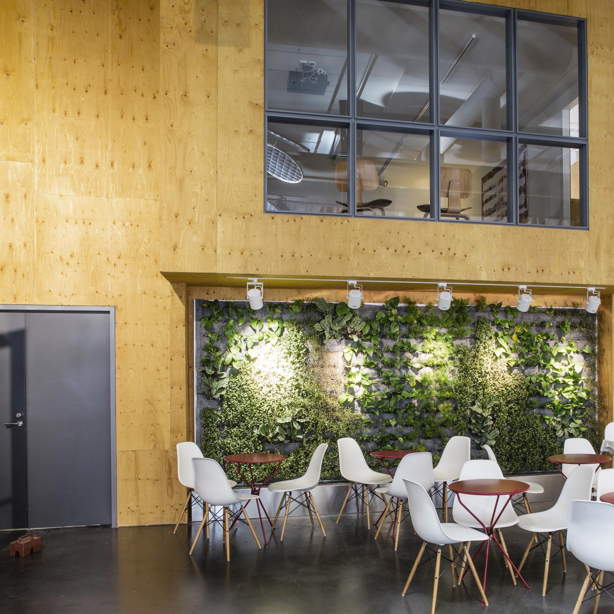 Metsä Wood plywood for walls