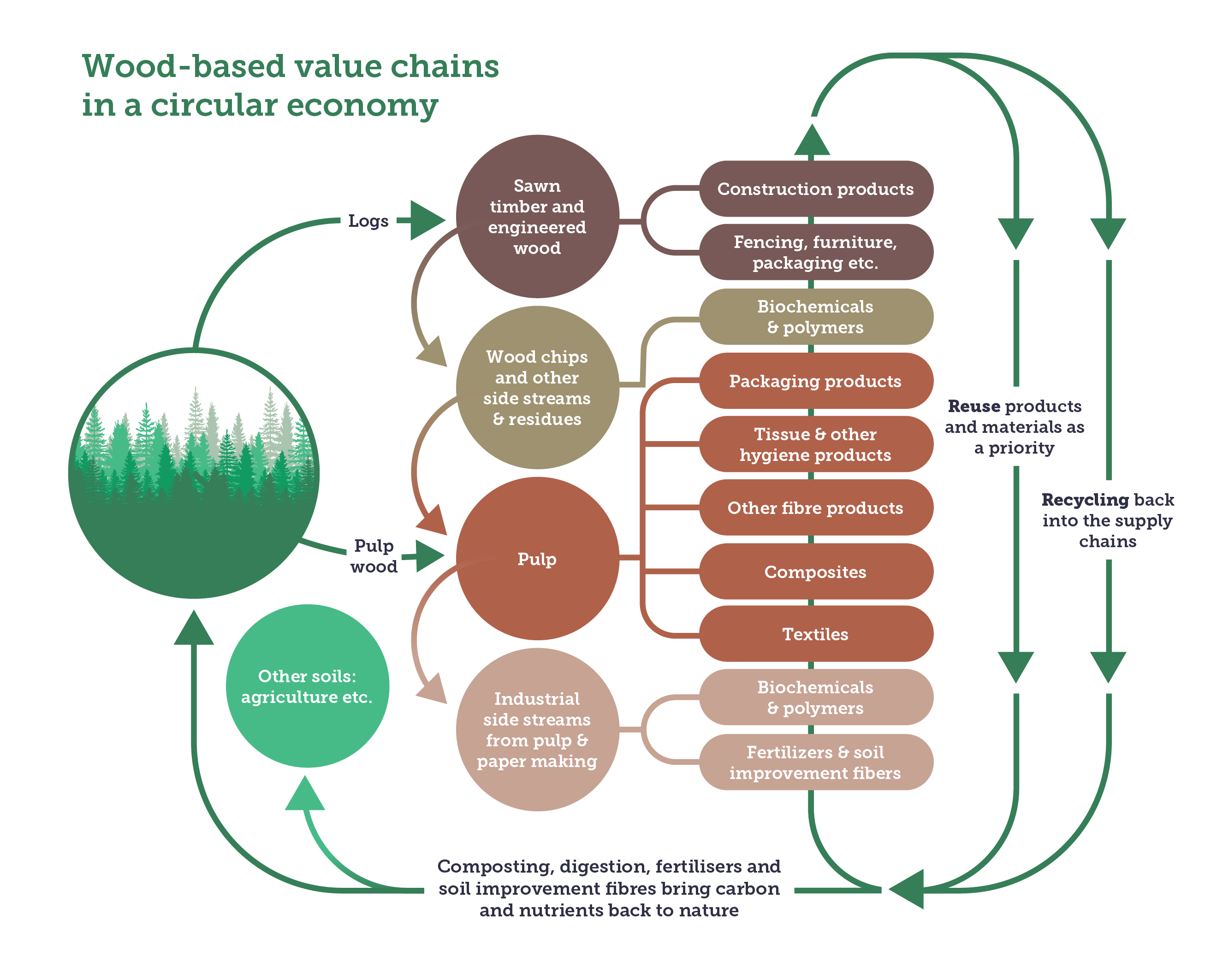 Regenerative forestry in circular economy